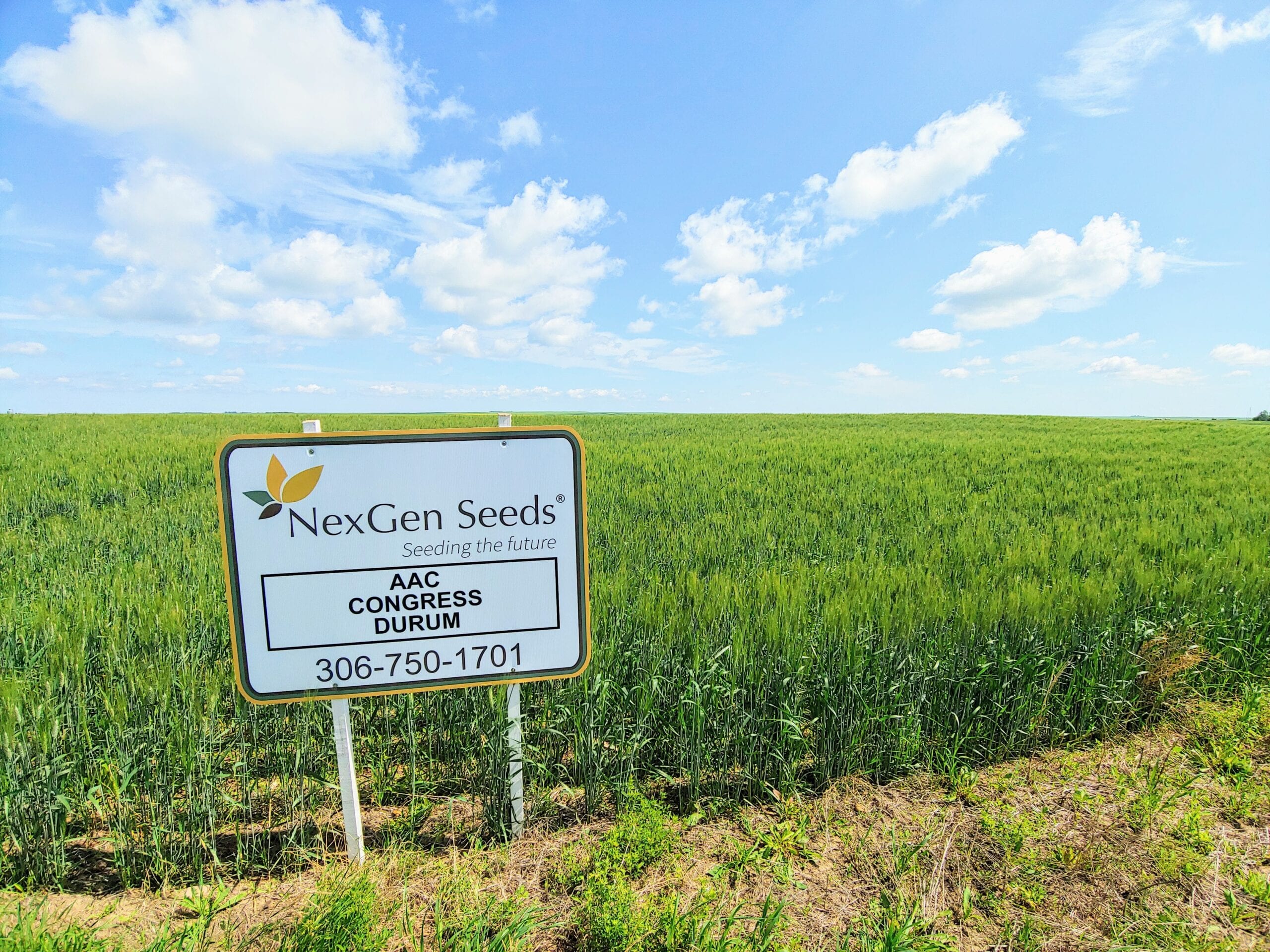 NexGen_CongressDurum
