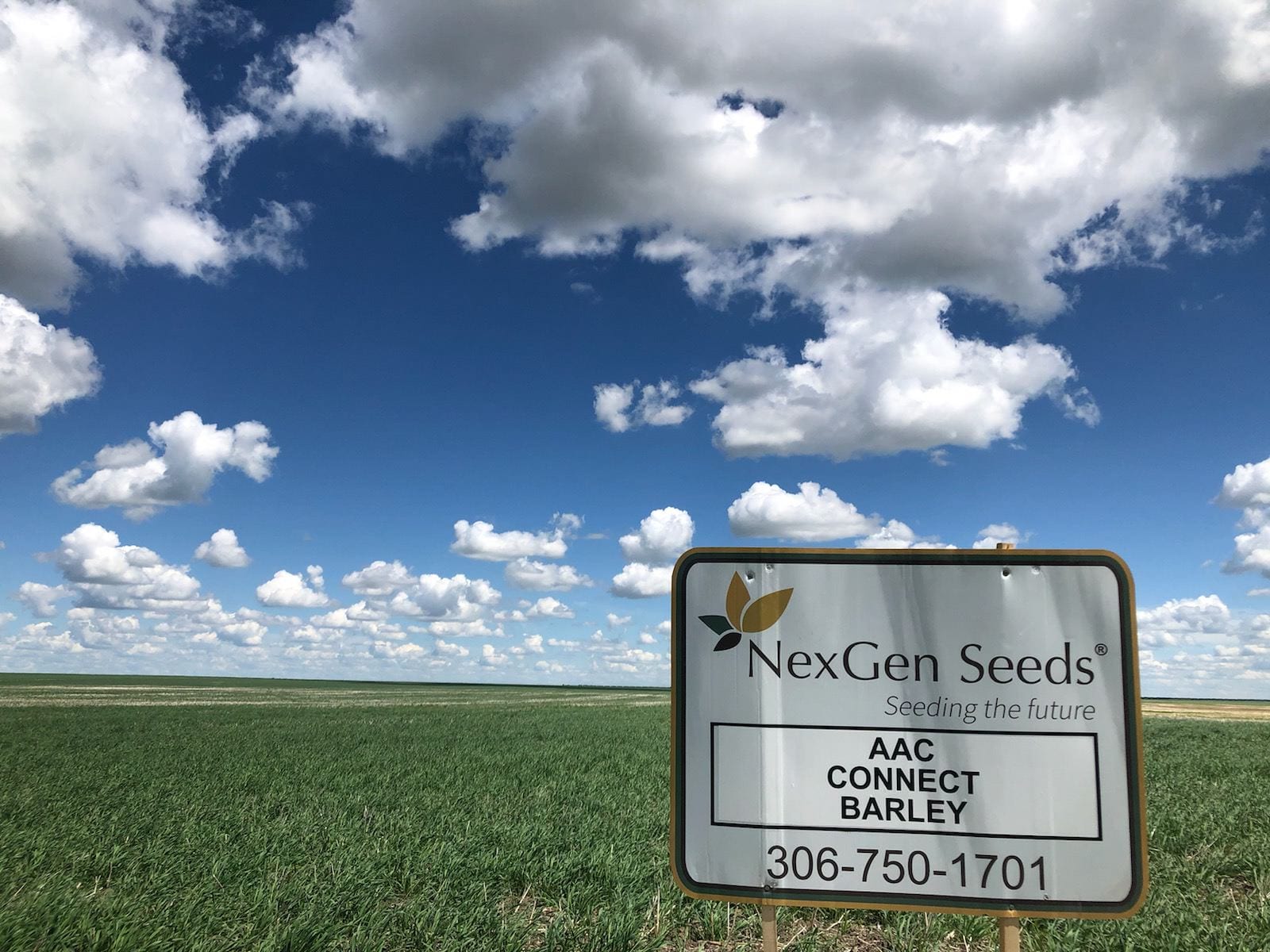 NexGen_ConnectBarley