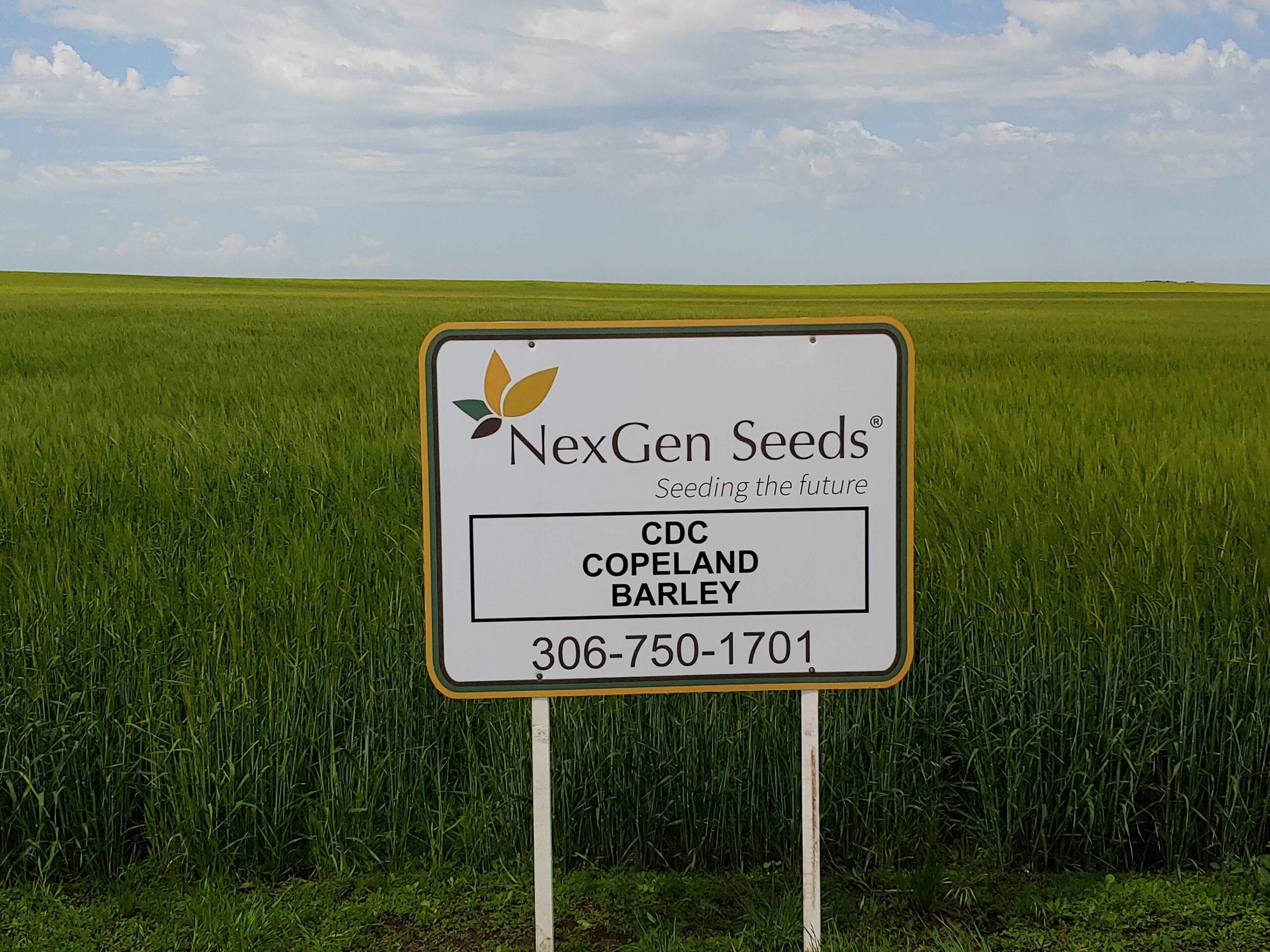 NexGen_CopelandBarley