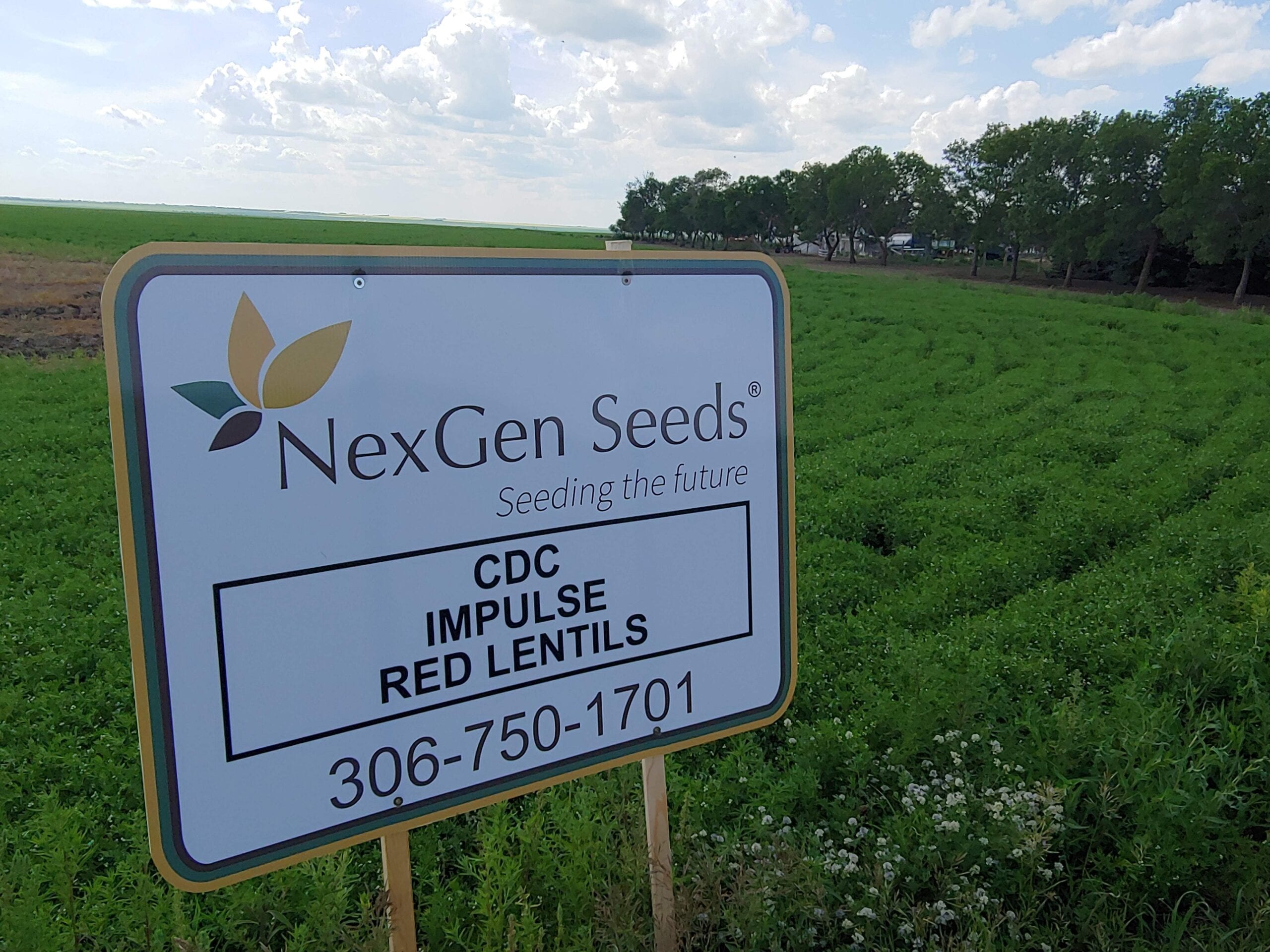 NexGen_ImpulseRedLentils